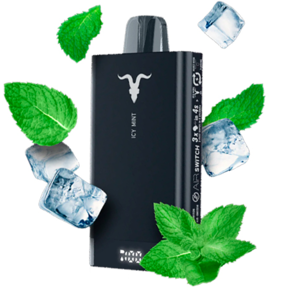 VAPER IGNITE V150 15000 PUFF ICY MINT