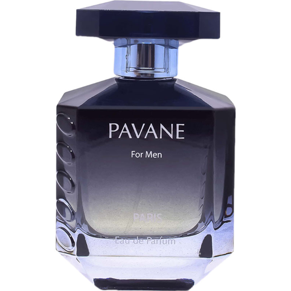 PERFUME ELODIE ROY PAVANE INTENSE MASCULINO  EDP 100ML